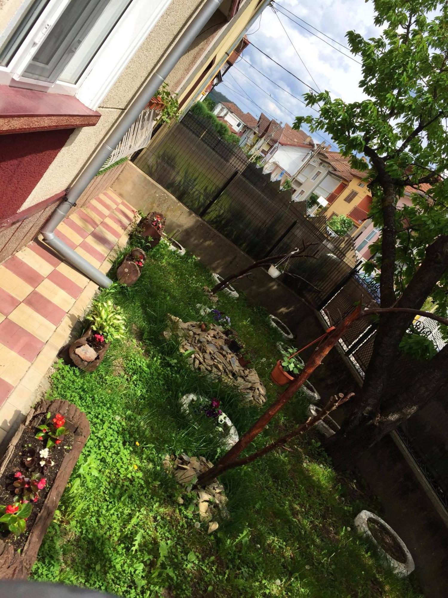 Casa Mary Hotel Haţeg Екстериор снимка