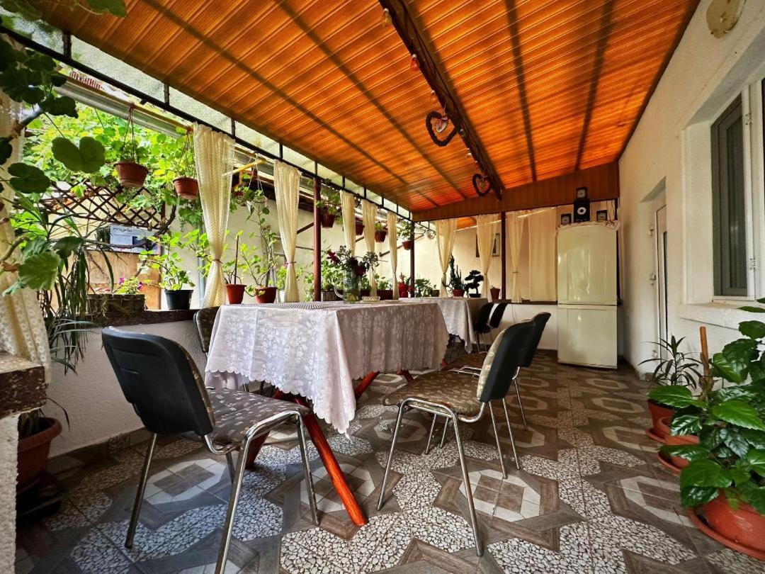Casa Mary Hotel Haţeg Екстериор снимка