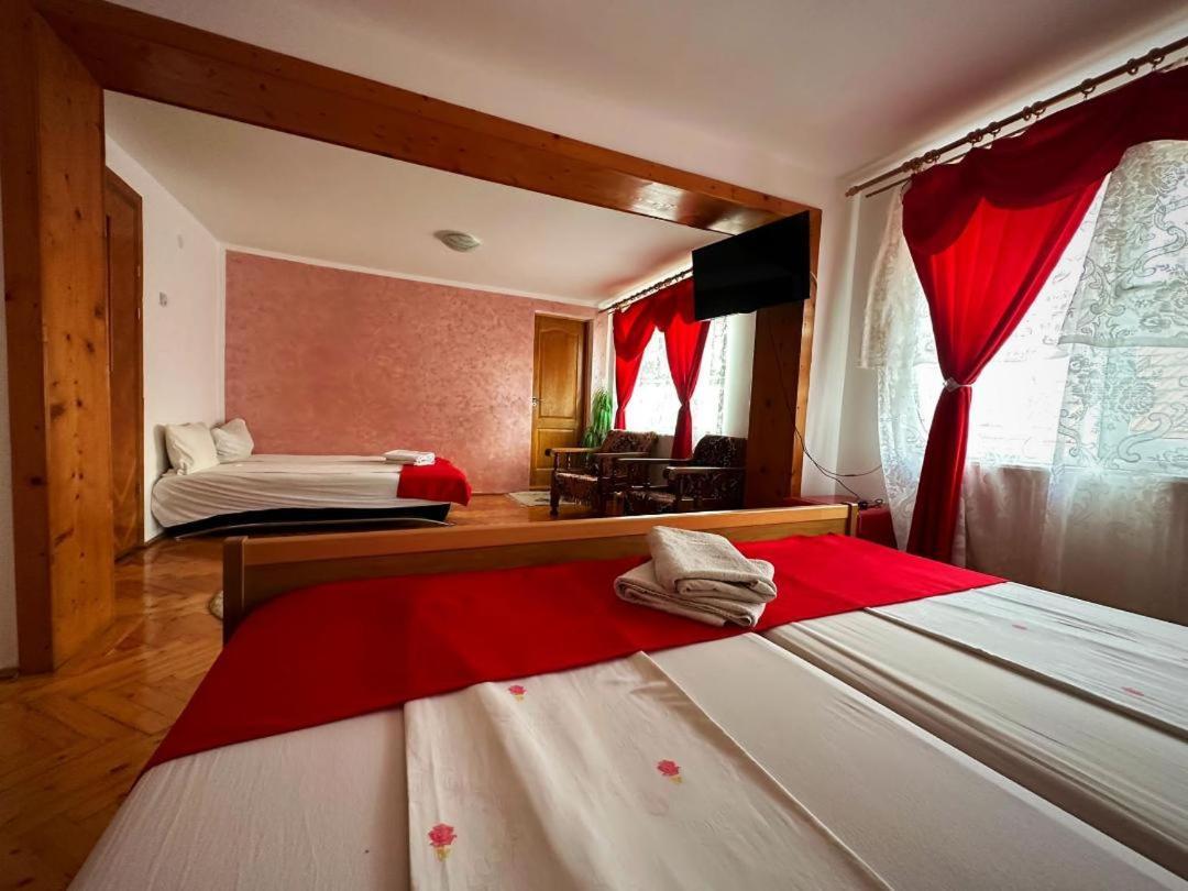 Casa Mary Hotel Haţeg Екстериор снимка