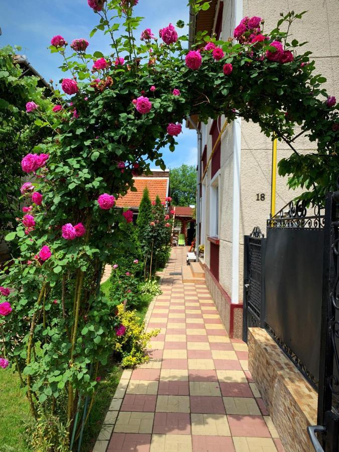 Casa Mary Hotel Haţeg Екстериор снимка