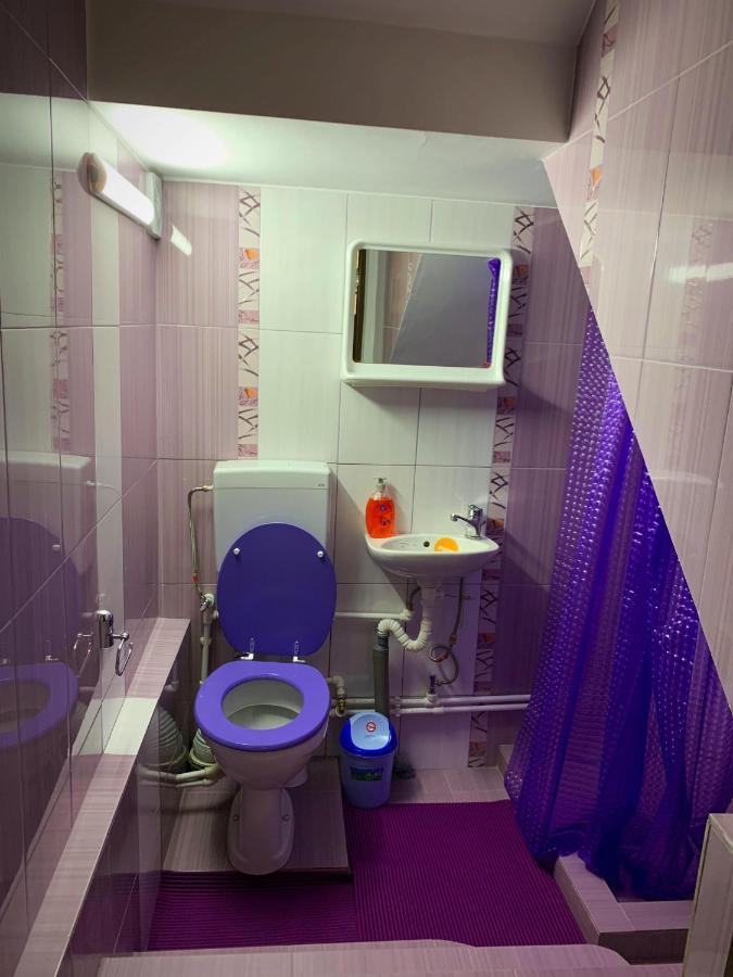 Casa Mary Hotel Haţeg Екстериор снимка