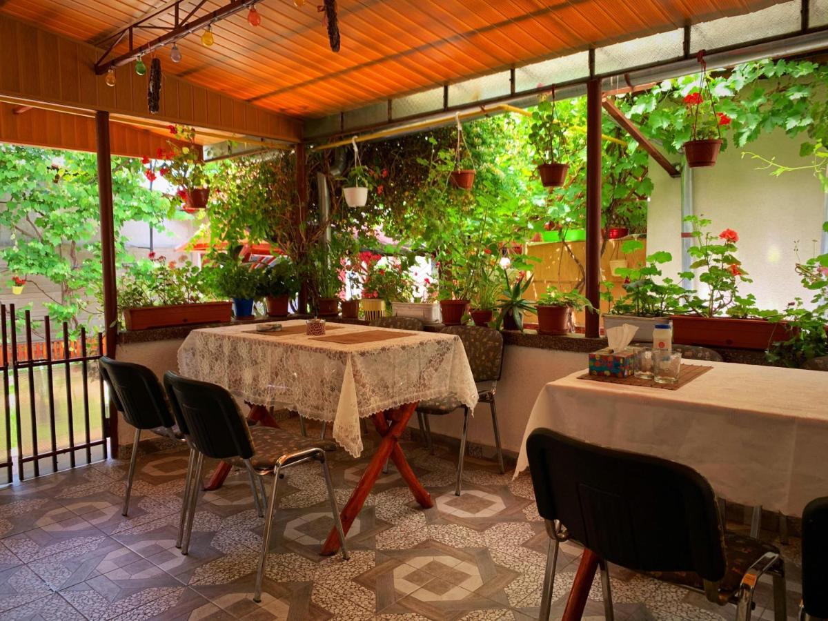 Casa Mary Hotel Haţeg Екстериор снимка