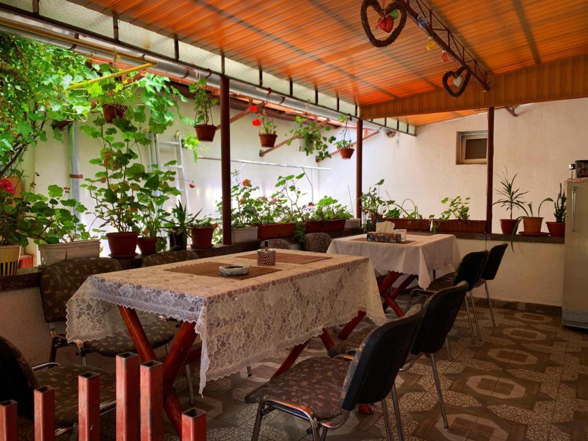 Casa Mary Hotel Haţeg Екстериор снимка